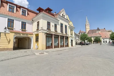 Hotel Traube Hotels in 