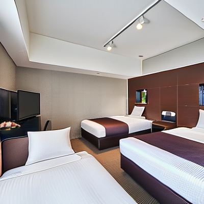 豪華雙床房（禁菸） Hotel MyStays 清水優惠