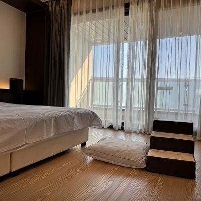 PET ROOM The Qube Resort Promo Code