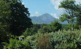 Greenside B&B - Housity