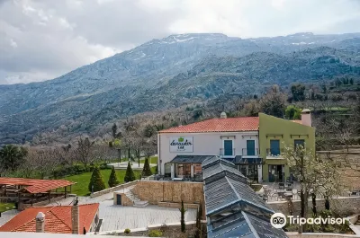 Alexander Mountain Resort Hotel di 