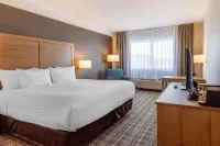 Quality Hotel Ξενοδοχεία στην πόλη 