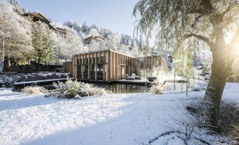 Adler Spa Resort Dolomiti - Housity