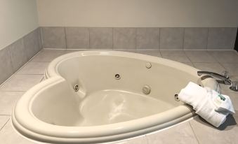 Quality Inn & Suites Boone - University Area - Housity
