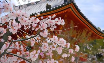 Stay Sakura Kyoto Gion North