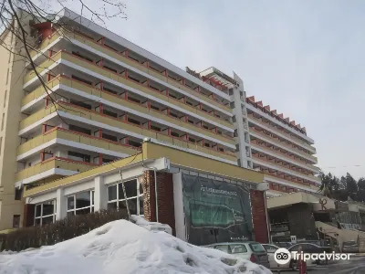 Hotel Sinaia Hotels in 