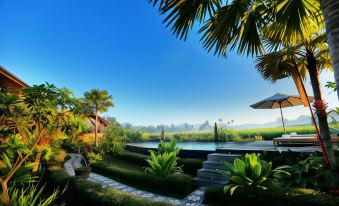 Padi Bali Eco Villas