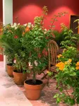 Chi Hieu Homestay Ξενοδοχεία στην πόλη 