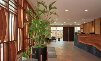 The Wilde Resort and Spa - Housity