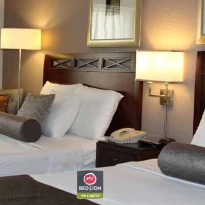 標準2張大床房 維多利亞紅獅套房酒店優惠