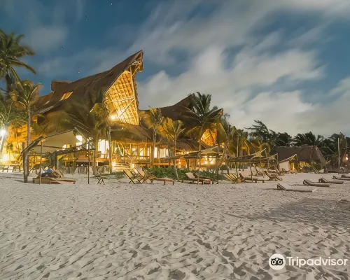 Ahau Tulum Hotels in Tulum