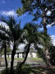 "The Salty Sugaree"-6 miles to beach, 1 mile to IMG, & multiple resort pools!