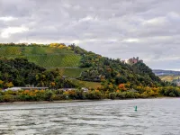 Bacharach Old Town – Rhein & Wein | up to 7 guest with castle view, near Loreley 바하라흐 호텔