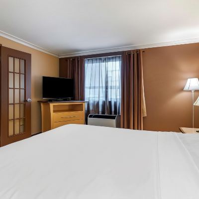 Suite-1 King Bed, Non-Smoking, 2 Room, Sofabed, Microwave and Refrigerator, Wi-Fi