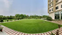 ザ グリーンウッド, テズプル