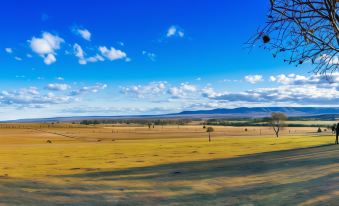 a vast , open field with a blue sky and white clouds above , under a clear blue sky at Strathearn Park Lodge
