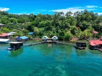 The Sea Monkey Hotels in Bastimento