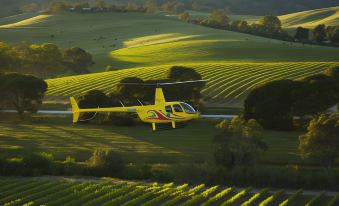 Vine Inn Barossa