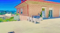Beb VillaReal Отели в г. 