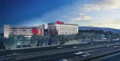 The Rose Gaming Resort Hotels in 
