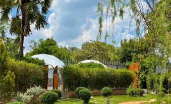 PaPa Q Suite Resort - Housity