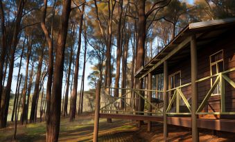 a wooden cabin with a porch and railing , surrounded by tall trees and a clear blue sky at Balingup Heights Hilltop Forest Cottages