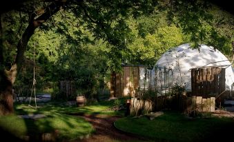 The Lodge Rooms - Housity