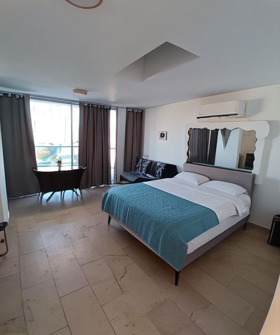 高級雙人間 - 帶陽台和私人浴室