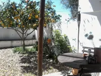 Tia Luísa Cottage (country house) 住宿飯店