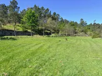 Charming Stone Retreat on 19ha Private Estate | Valley Views & Total Privacy Hotels in Amarante