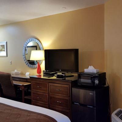 One King Deluxe Room with Sofa Bed No Pets Dew Drop Inn Promo Code