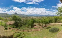 The Heart of Pai