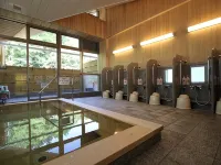 Yadori Onsen Iyashinoyu 하시모토 호텔