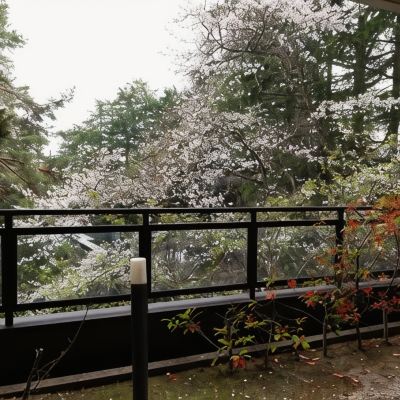 デラックス ファミリールーム 金沢・辰口温泉 まつさき クーポン