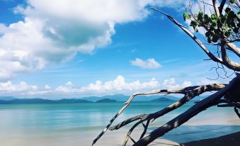 a serene beach scene with a wooden fence and a view of the ocean in the background at Phayamas Private Beach Resort and Island Brew - Adults Only