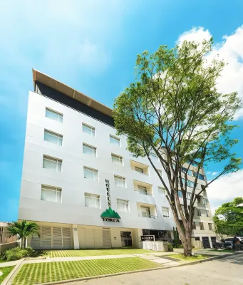 Torca Hotel Hotele w: 