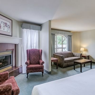 King Bed With Sofa Bed & Fireplace Harrison Lake Hotel Promo Code