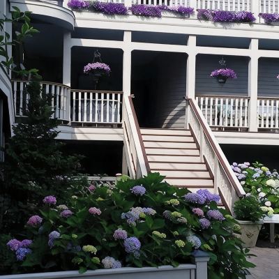 Standard Double Room, Ensuite (03 French Country) Hydrangea House Promo Code
