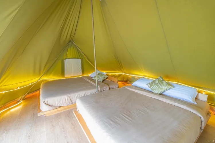 Mountain Family Suite-Room Type Randomly Assigned