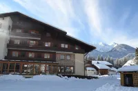 Hotel Berghof Hotels in 