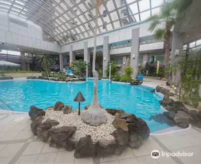 Hotel Zuiho Hotels in 