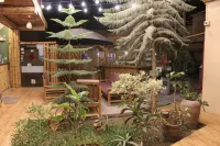 La Casa de Bamboo Hotel di 