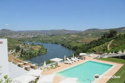 Delfim Douro Hotel Hotel a 