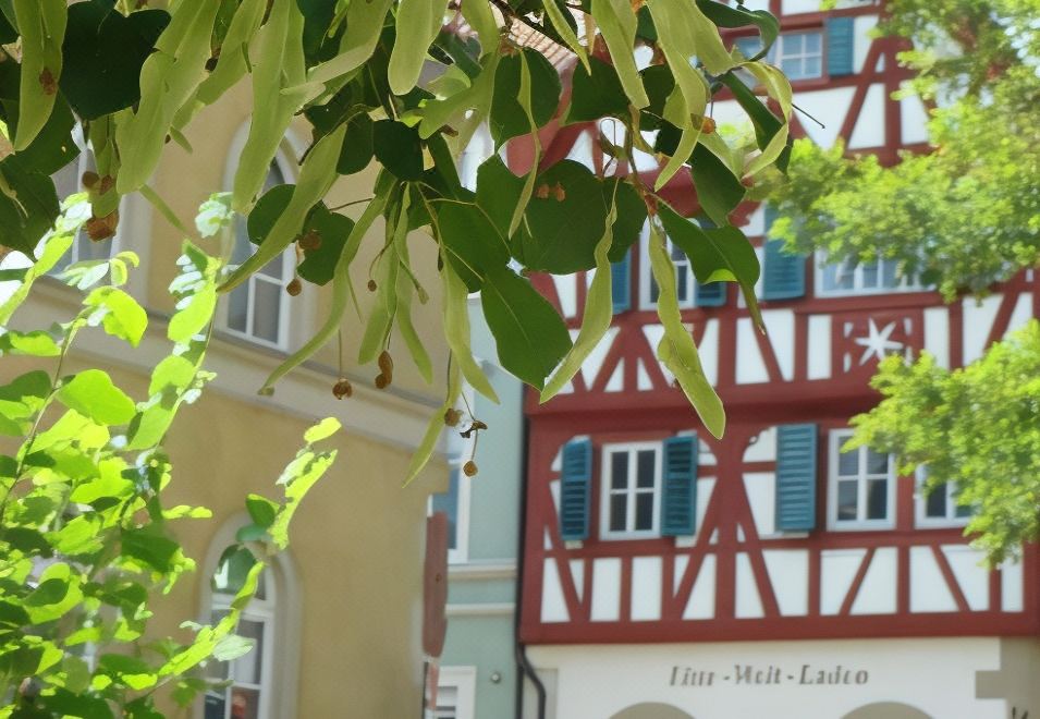 a row of buildings with different colors and styles are seen through the leaves of a tree at Bayerischer Hof