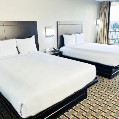 Deluxe King Suite with Kitchen Fiddler's Inn Promo Code