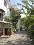 Golden Sun Kokkari