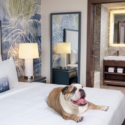 一臥室套房通信無障礙露台通道 弗拉施英迪格飯店 - IHG 旗下飯店優惠