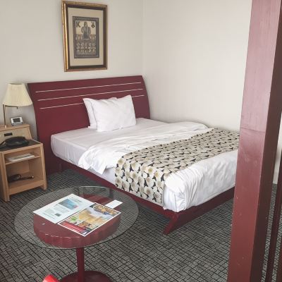 [Odor-Eliminating Option Available] Ambassador Room [Double Room] [Smoking] キングアンバサダーホテル熊谷 クーポン