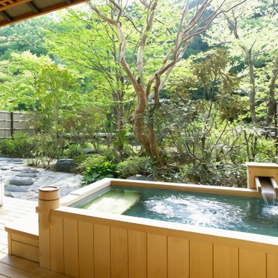 庭園露天風呂付き特別室（主室10畳）[スタンダード][和室][禁煙] 旅邸 諧暢楼 クーポン