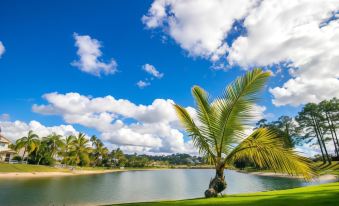 a serene landscape of a lake surrounded by palm trees and a grassy field , under a blue sky with clouds at Bay of Palms